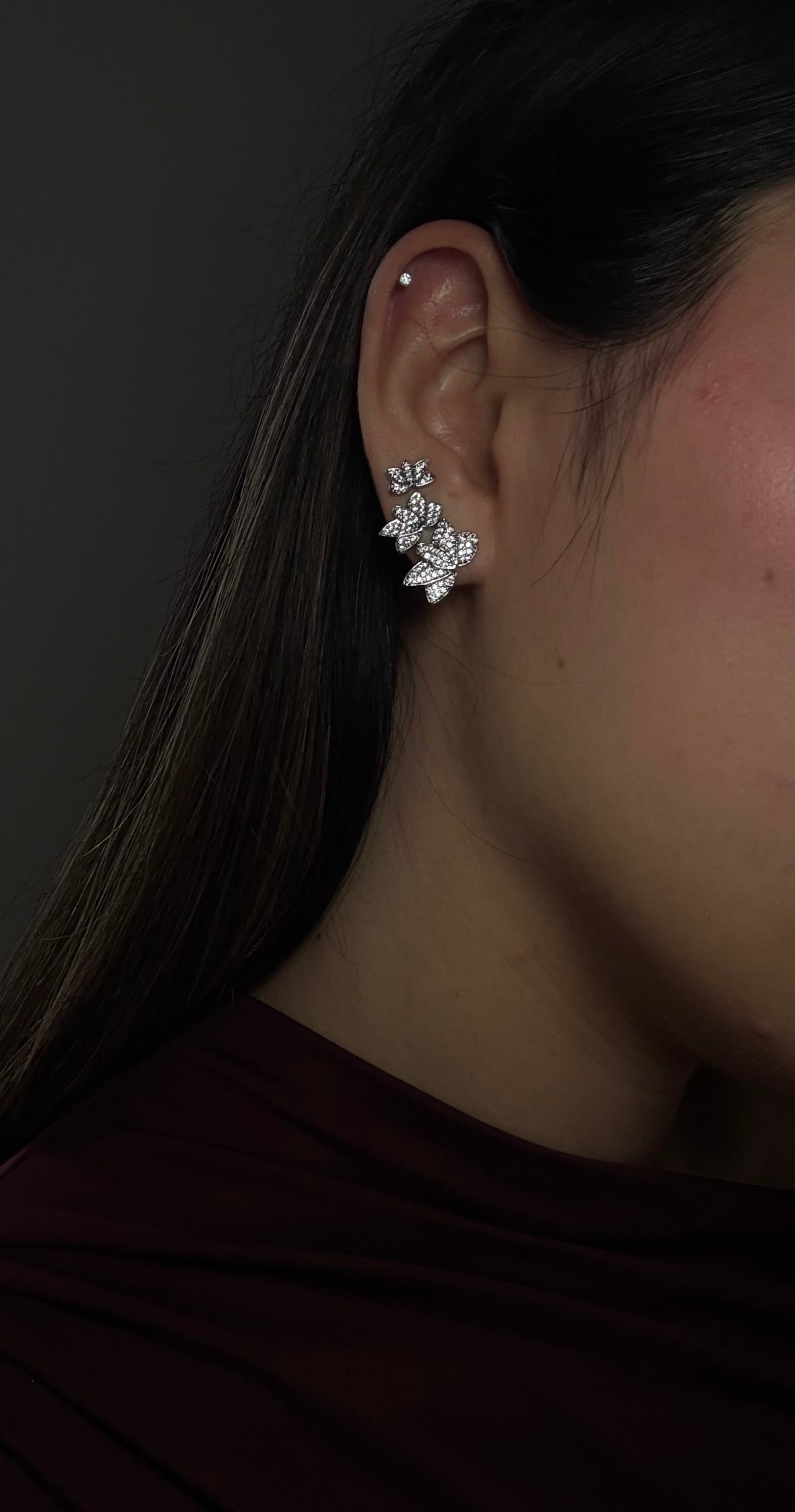 Trio Farfalla di luce