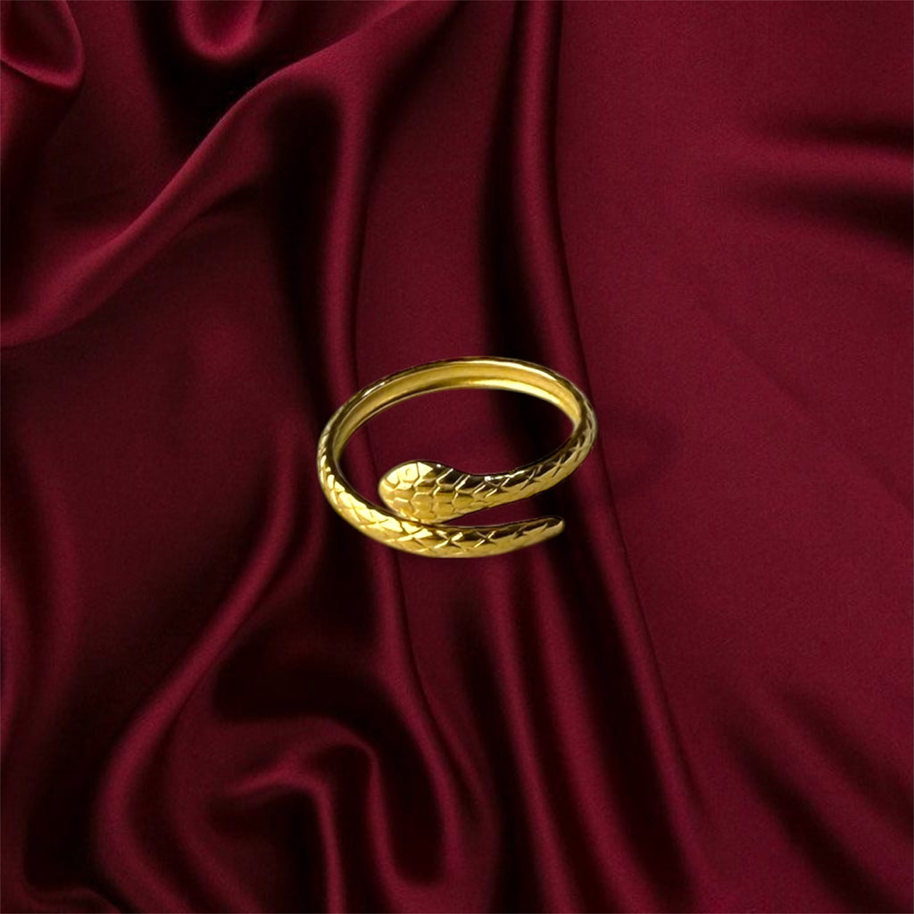 Anillo de serpiente