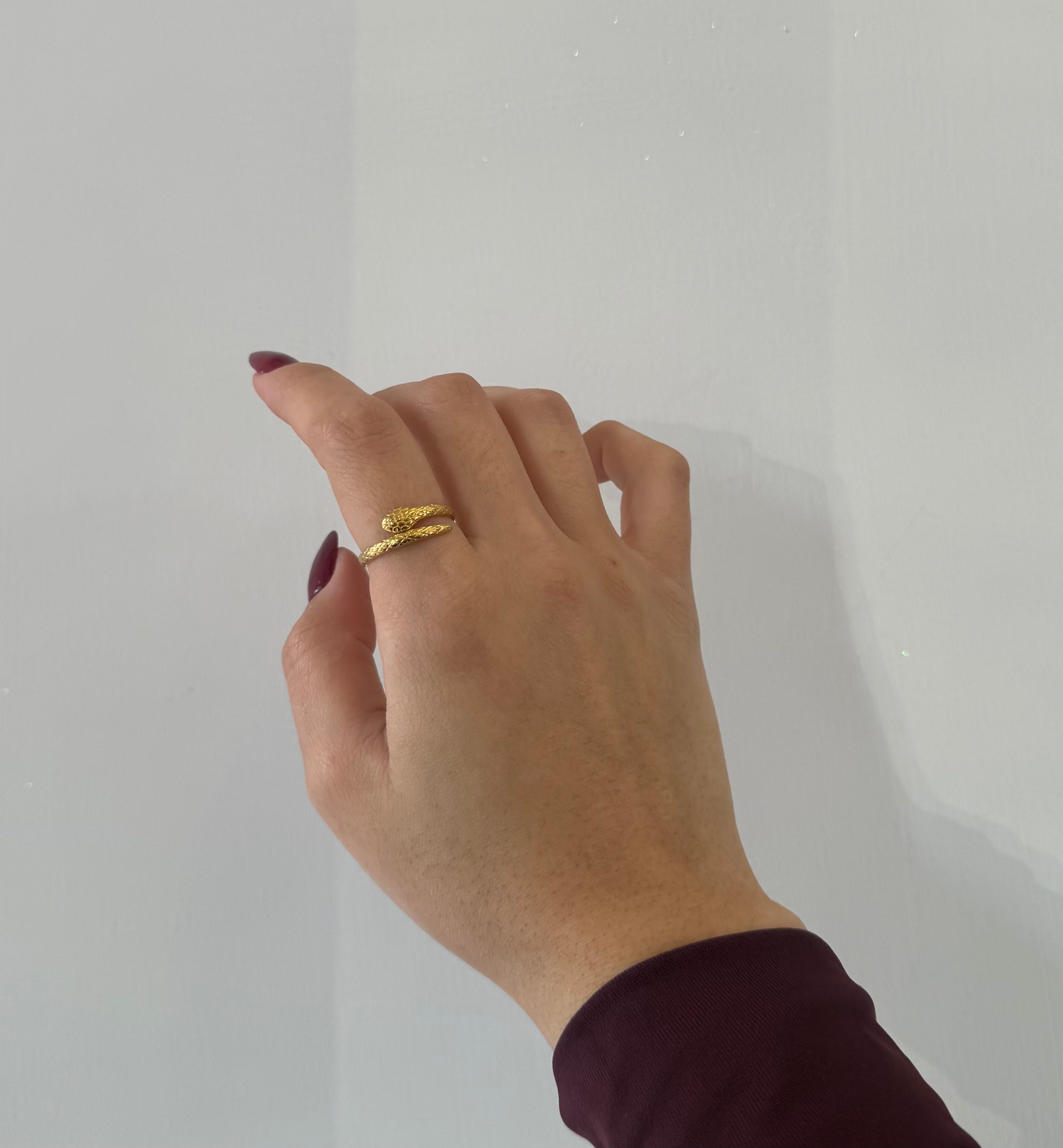 Anillo de serpiente