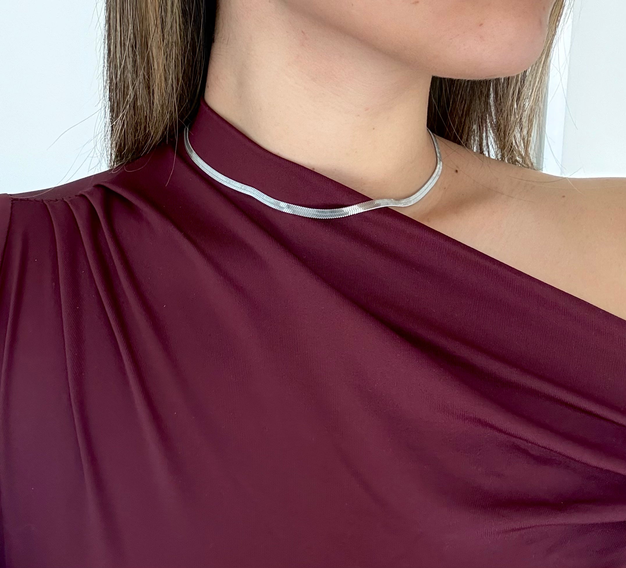 Collar de serpiente de plata