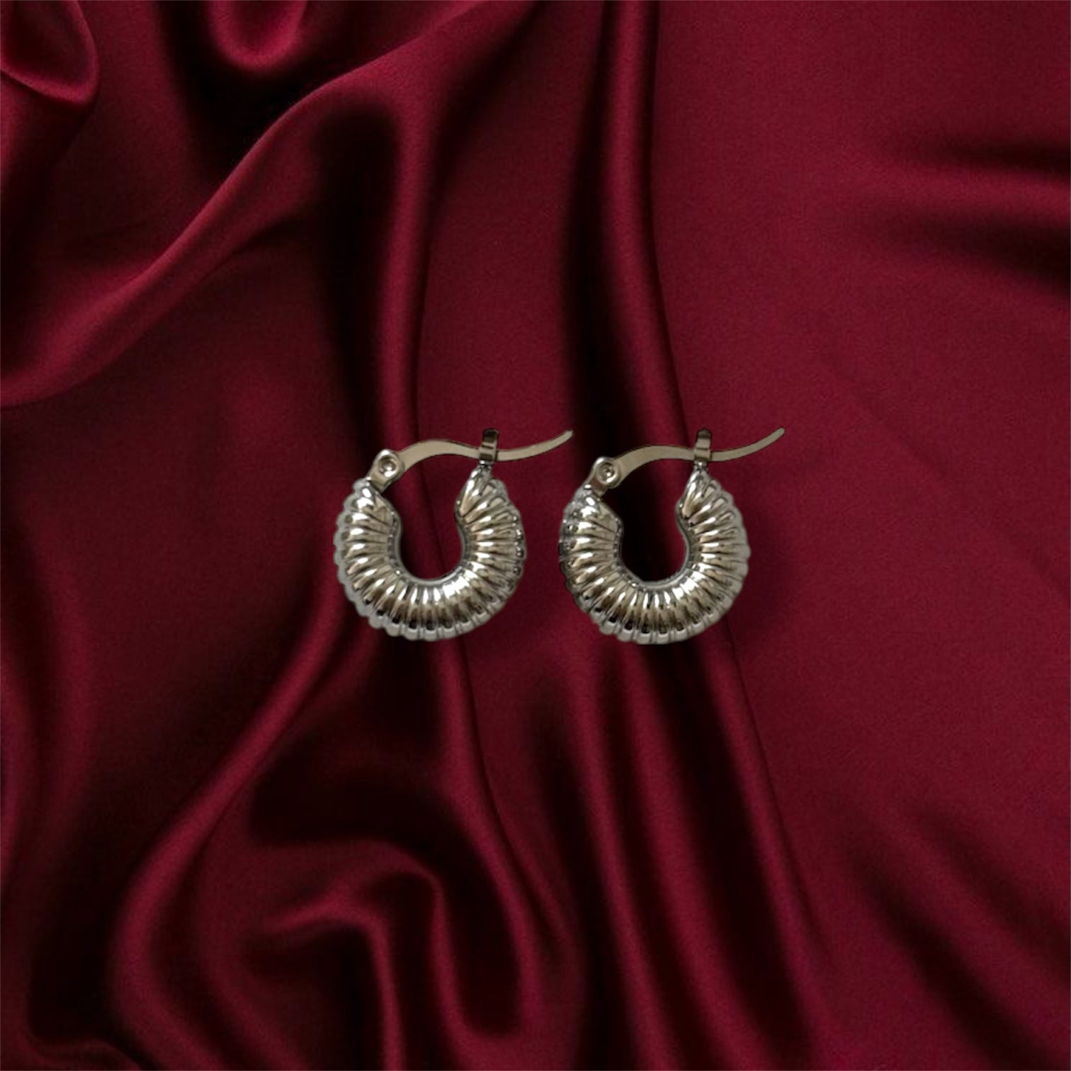 Orecchini Shell Hoops Mini Silver